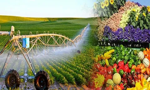 Sửa Luật Thuế GTGT: Khơi thông hoàn thuế, giảm áp lực vốn cho nông nghiệp và xuất khẩu