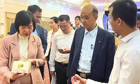 Startup Đà Nẵng đông, nhưng mạnh thì chưa nhiều