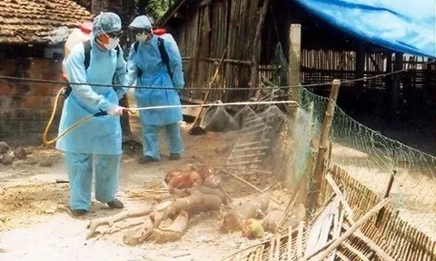 Siết chặt biện pháp phòng dịch, không để mầm bệnh lây lan, bùng phát