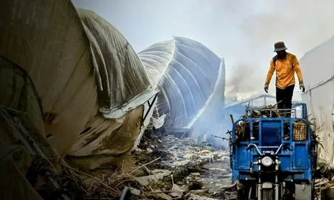 CLIP: Vựa rau lớn nhất Lâm Đồng xác xơ, nông dân mất tiền tỉ sau cơn "đại hồng thủy"