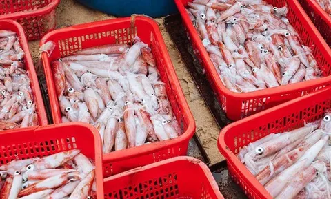 Không phải sầu riêng, một kho báu của Việt Nam được Thái Lan liên tục săn lùng: Xuất khẩu tăng trưởng mạnh, nước ta thu về hàng trăm triệu USD