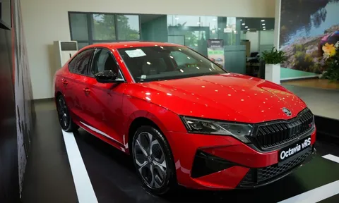 Cận cảnh Skoda Octavia vRS tại đại lý: Giá tạm tính 1,5 tỷ đồng, cạnh tranh VW Golf R bằng động cơ 265 mã lực, có thể ra mắt ngay tháng này