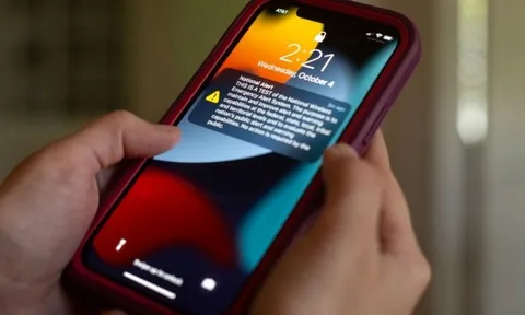 Cảnh bảo nóng với những người tò mò CV của Le Xuan Son