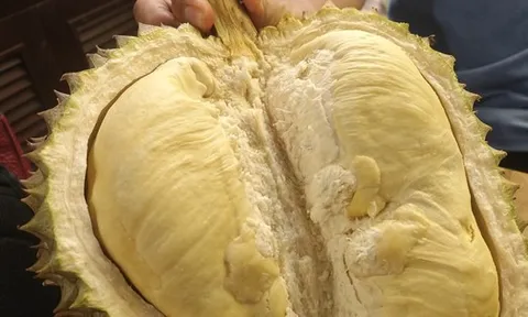 Giá sầu riêng trái vụ bất ngờ rớt mạnh