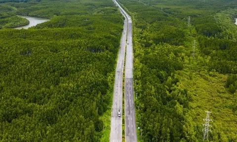 UBND TPHCM chấp thuận chủ trương đầu tư tuyến đường sắt tốc độ cao Bến Thành - Cần Giờ