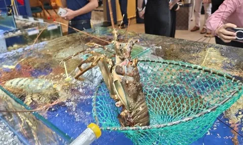 Xuất khẩu tôm lập kỷ lục