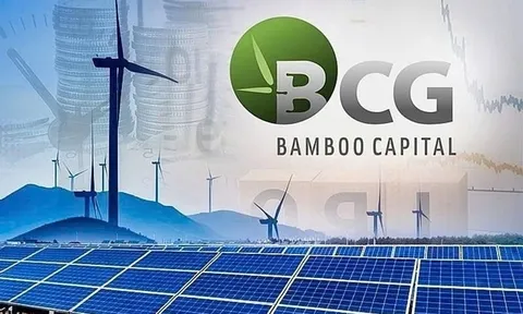 Bamboo Capital báo tin buồn: Ước lỗ 8.400 tỷ đồng sau loạt biến cố vì cựu lãnh đạo vướng lao lý