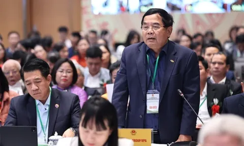 Gặp Thủ tướng, Chủ tịch Tập đoàn Intimex lo lắng: Vụ Đông Xuân sắp tới, Việt Nam có thể dư thừa khoảng 4 triệu tấn lúa gạo, giá đi xuống