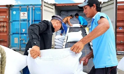 Philippines 'phanh gấp' nhập khẩu, gạo Việt chuyển hướng không ngờ