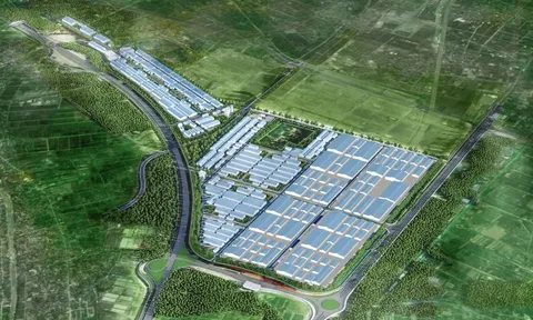 Tập đoàn Hòa Phát (HPG) sắp xây khu công nghiệp hơn 2.800 tỷ ở tỉnh Hưng Yên