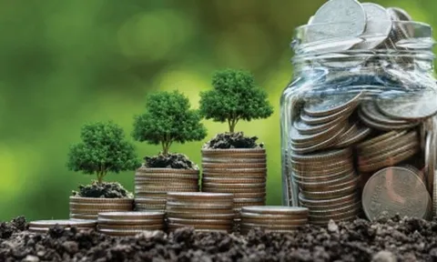 CT Group đón tin vui, khai phá "mỏ vàng Carbon" 200 triệu USD/năm