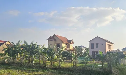 Quảng Trị: Sẽ thu hồi 1.500m² đất cho gia đình nguyên bí thư phường thuê 500.000 đồng/năm