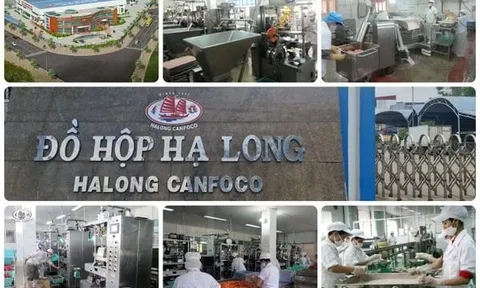 Đồ hộp Hạ Long (CAN) đầu tư hơn 166 tỷ đồng để đầu tư nhà máy mới tại Hải Phòng