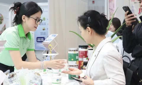 Ai phải thực hiện đăng ký lao động từ 1-1-2026?