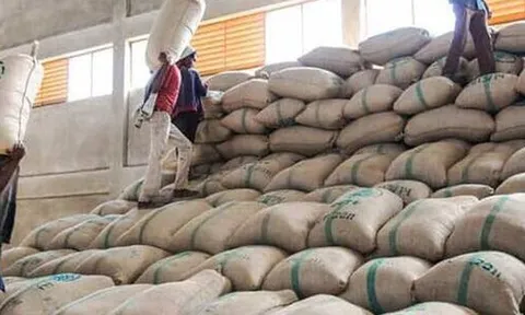Hàng chục nghìn tấn hàng của Việt Nam được Nga đổ tiền mua với giá cực đắt: thuế nhập khẩu 0%, sản lượng hơn 1 triệu tấn/năm