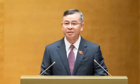 Còn tình trạng nhà, đất bị bỏ hoang, dùng không đúng mục đích