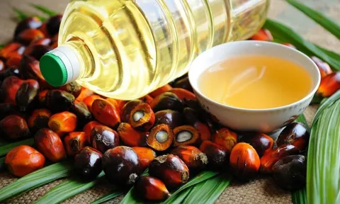 Ấn Độ tăng cường nhập khẩu dầu cọ từ Đông Nam Á