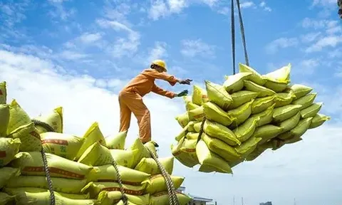 Việt Nam xuất khẩu 7,5 triệu tấn gạo