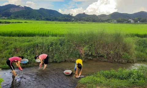 Nâng cao nhận thức và hành động cộng đồng về bảo tồn nguồn nước