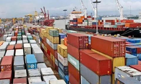 Gần 500 container chè bị ách tắc ở cảng Pakistan, Bộ Công Thương vào cuộc xử lý