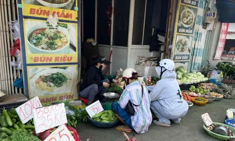 Hàng loạt rau củ bất ngờ chỉ còn 10.000 đồng/kg