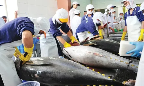 Mỹ siết nhập thủy sản: Điểm mấu chốt doanh nghiệp Việt không thể bỏ qua