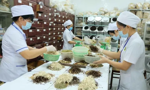 Chức năng, nhiệm vụ của Bệnh viện y học cổ truyền tỉnh