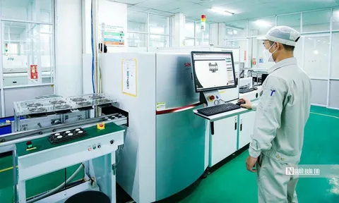 Năm 2025, doanh nghiệp gia nhập thị trường tăng mạnh, đạt gần 300.000 đơn vị