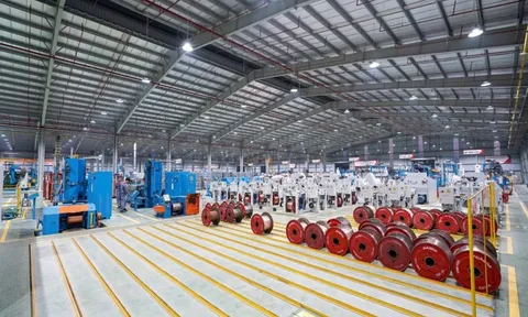 GELEX được VIS Rating nâng triển vọng xếp hạng tín nhiệm dài hạn A lên “Tích cực”