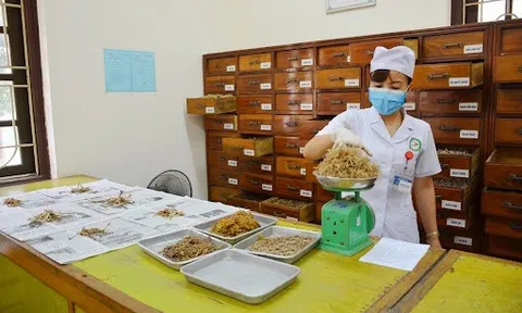 Quy định về kê đơn thuốc cổ truyền, thuốc dược liệu