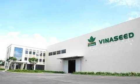 PAN Farm sắp nhận hàng chục tỷ đồng cổ tức từ Vinaseed