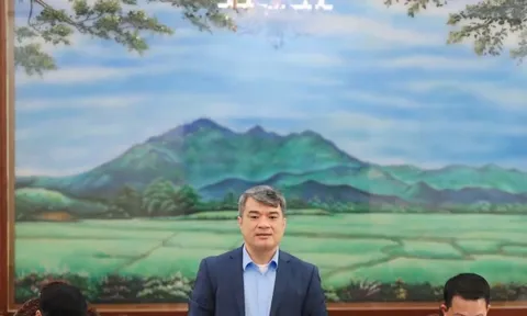 Đề xuất chấm điểm công dân số: Cân nhắc 'xếp hạng, phân loại', tránh hiểu nhầm