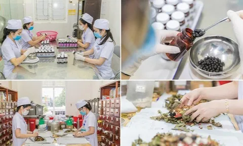 Quy định mới về chức năng, nhiệm vụ của Bệnh viện y học cổ truyền tỉnh