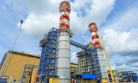 Một công ty phát điện báo lãi năm 2025 đạt 1.000 tỷ, gấp 12 lần so với năm trước