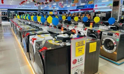 Đằng sau sự tăng trưởng như 'tên lửa của máy giặt LG tại Điện máy Xanh