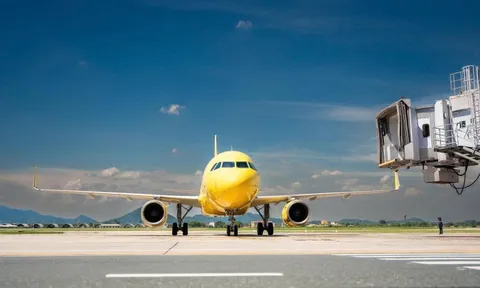 Một hãng hàng không của Việt Nam sắp biến mất?