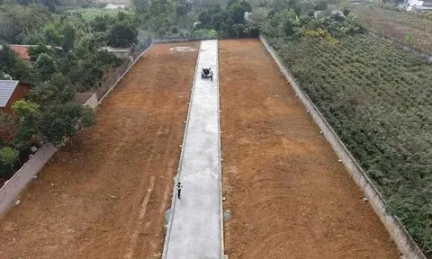 Tự ý phân lô, bán nền trên đất nông trường tại xã Phú Cát - TP. Hà Nội