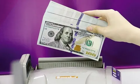 Hơn 10 tỷ USD kiều hối đổ về TPHCM