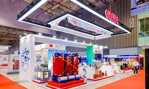 Cổ đông GELEX Electric (GEE) nhận cổ phiếu và cổ tức tiền mặt lên tới 130%