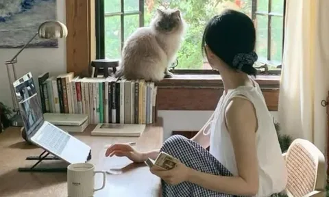 Vừa mua căn hộ tầng 26, tôi hối hận và bán gấp để xuống tầng 5: Bài học đắt giá không có trong quảng cáo