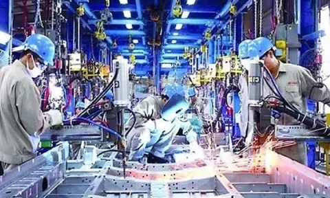 Hơn 54.000 doanh nghiệp gia nhập và tái gia nhập thị trường tháng 1