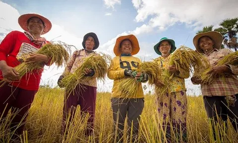 Campuchia vừa làm một điều chưa từng có trong thập kỷ, châu Âu, Trung Quốc góp công lớn