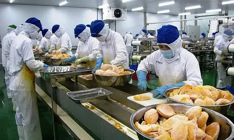 Gần 2.600 mặt hàng nông sản Việt xuất Trung Quốc phải có 'thư xác nhận'