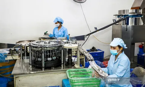 Tháng 1/2026 có gần 49.000 doanh nghiệp gia nhập thị trường, thu NSNN hơn 370.000 tỷ đồng