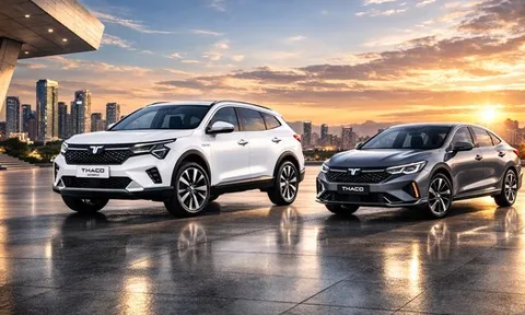 Vì sao tỷ phú Trần Bá Dương làm ô tô thương hiệu riêng?