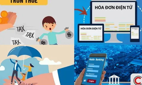 Cảnh báo loạt lỗi hộ kinh doanh, cá nhân kinh doanh thường mắc về đăng ký thuế, khai thuế và hóa đơn
