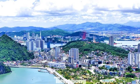 Xây dựng Đề án Khu kinh tế số và tri thức tự do Quảng Ninh gần 26.400ha