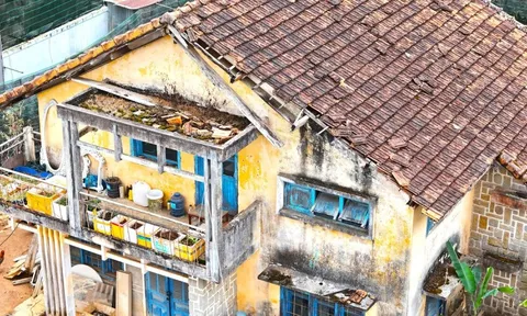 Cận cảnh biệt thự, khu nhà đất 'vàng' bỏ hoang, lãng phí ở Ðà Lạt