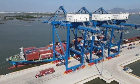 Cảng Đồng Nai sắp chi hơn 111 tỷ đồng tạm ứng cổ tức