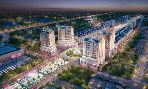 Hải Phát bước vào chu kỳ tăng trưởng mới sau giai đoạn tái cấu trúc mạnh mẽ